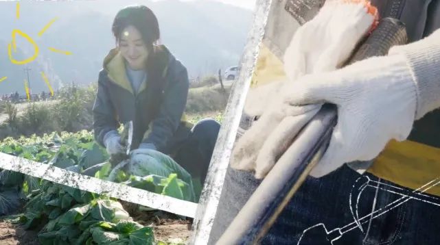 赵丽颖下地干活手法熟练,活脱脱的农村妹子,离婚后状态越来越好-微信头条网 赵丽颖下地干活手法熟练,活脱脱的农村妹子,离婚后状态越来越好