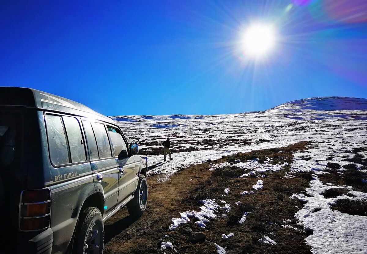 請注意 你正在雪山開車 有時遇見熊 微文庫