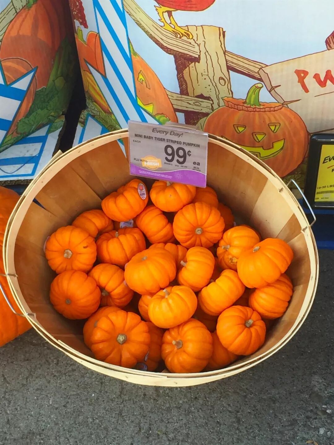 来肯定不如大份大份买划算。两块装的肥皂~再一次，应个景~99cents的南瓜！