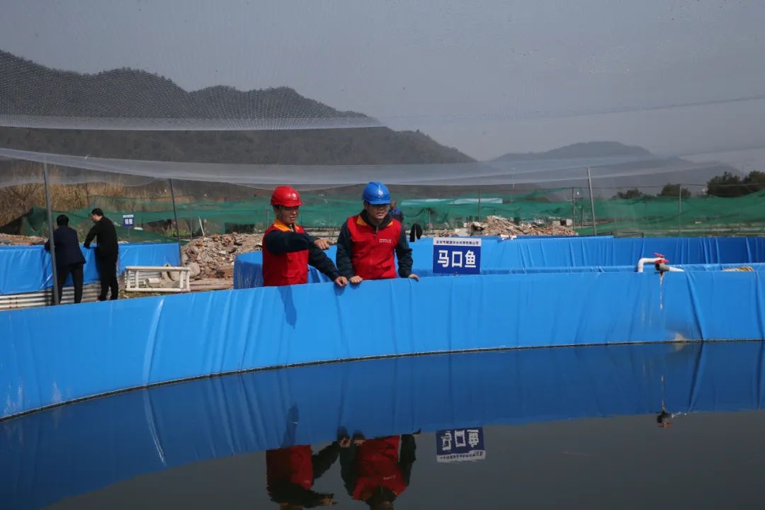 养殖泥鳅挣钱吗_致富养殖泥鳅怎么样_致富经泥鳅养殖