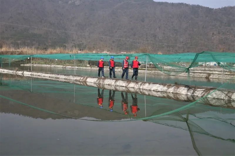 致富养殖泥鳅怎么样_致富经泥鳅养殖_养殖泥鳅挣钱吗