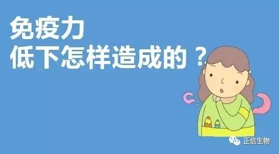 灵芝孢子粉与人体的免疫力，不得不说的秘密……