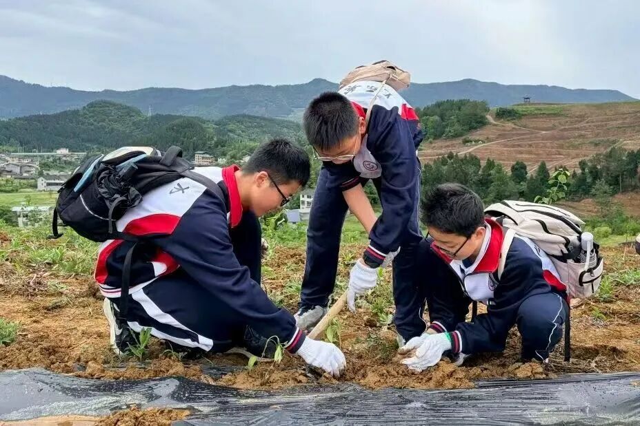 微信图片_20260430082119_3959_171.jpg