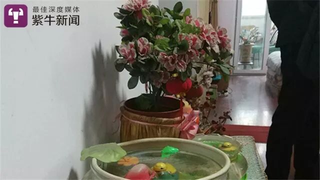 【张奶奶家养了不少花】