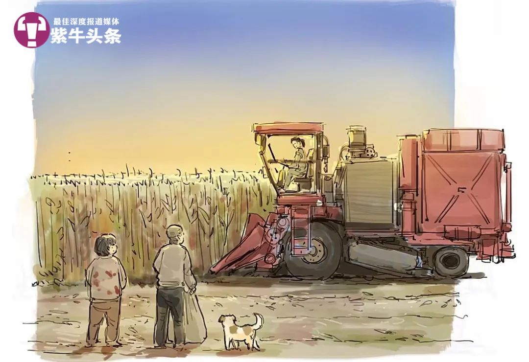 一句免费收麦让老人几乎落泪