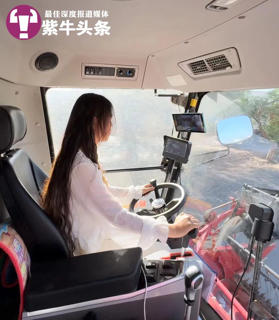 一句免费收麦让老人几乎落泪