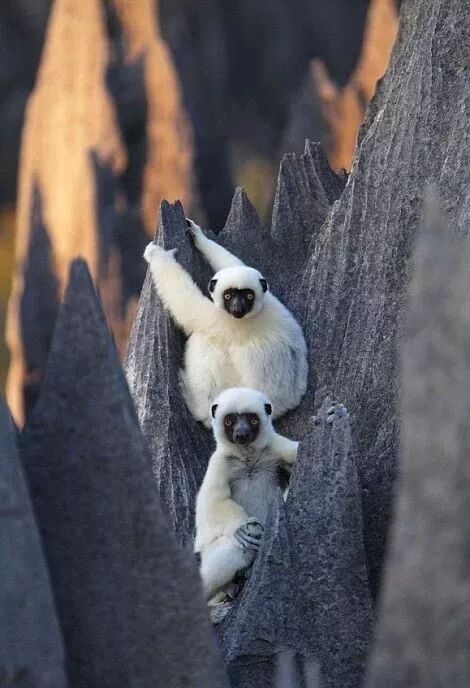 “地质之最”，你知道几个？的图35