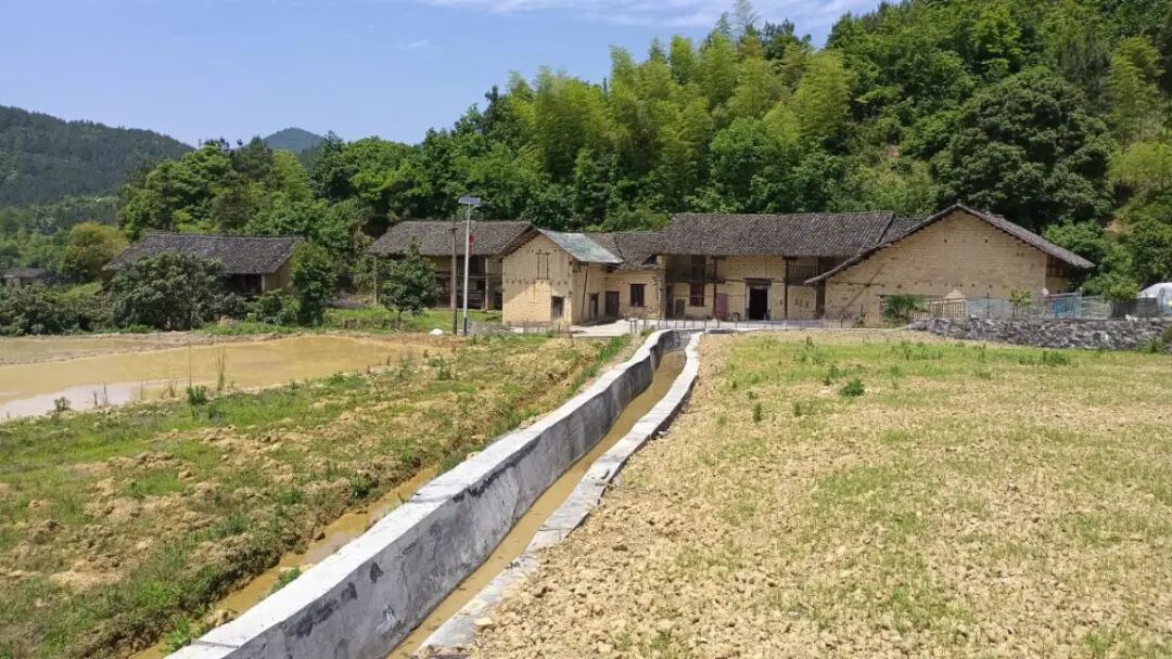 种粮大户的困扰与期盼蒋家桥镇耕种一线见闻