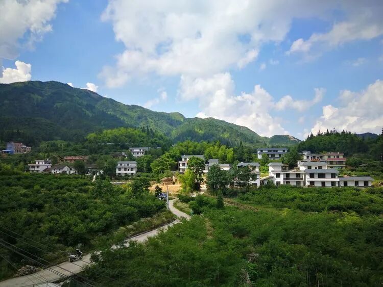 避暑去哪236的青竹村在等你这份游玩指南请查收青竹之游