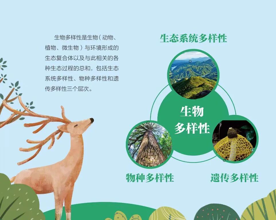 美丽湖南美在多样速参与一起来发现生物多样性之美