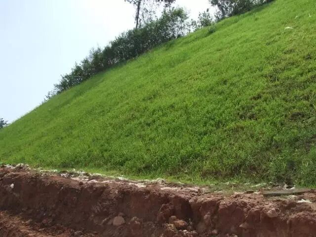 植被混凝土生态防护技术理论与实践