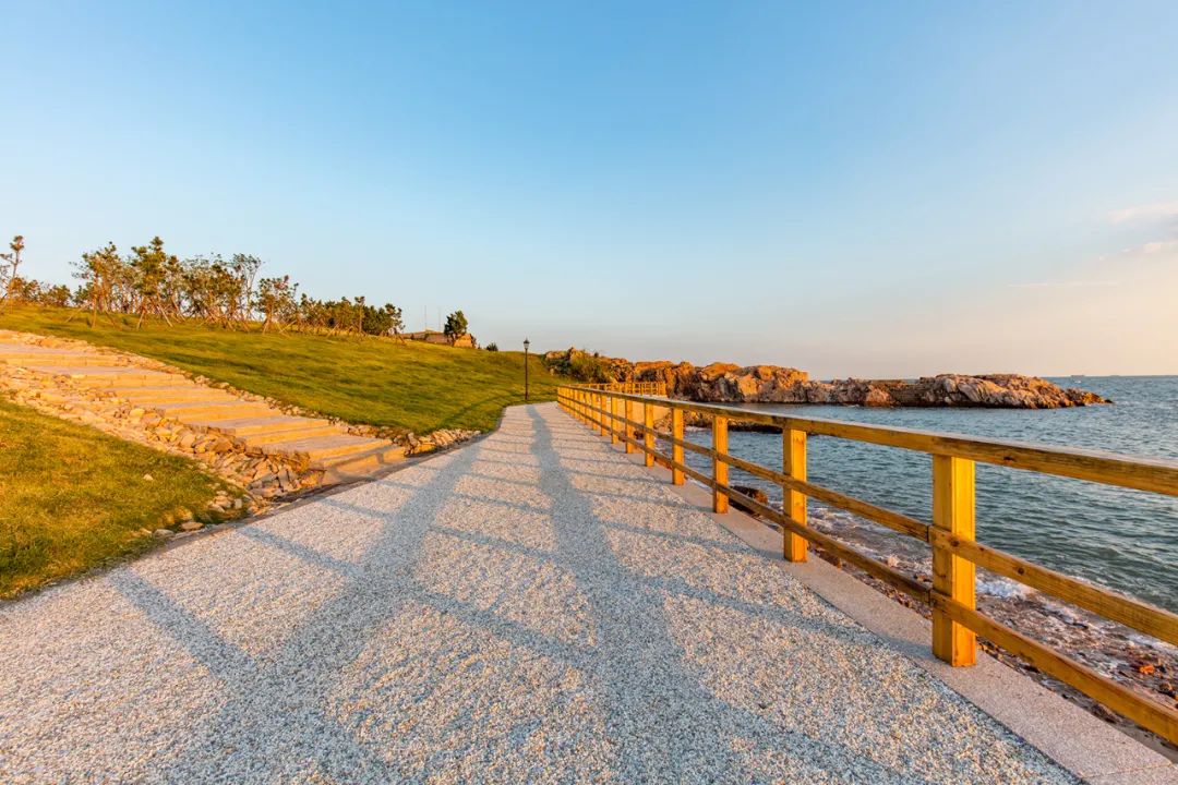 小麦岛公园--青岛新晋网红打卡地，关键还不收费！