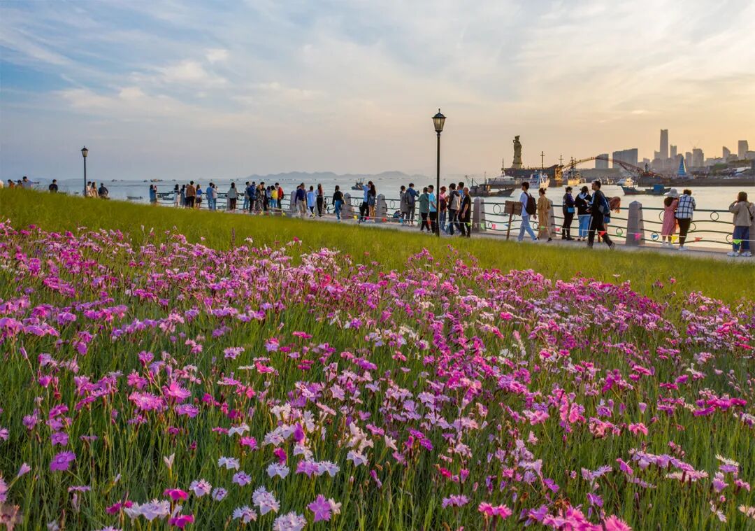 小麦岛公园--青岛新晋网红打卡地，关键还不收费！