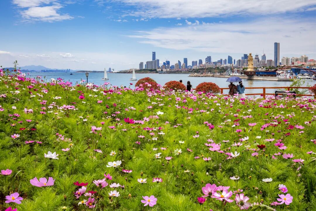 小麦岛公园--青岛新晋网红打卡地，关键还不收费！