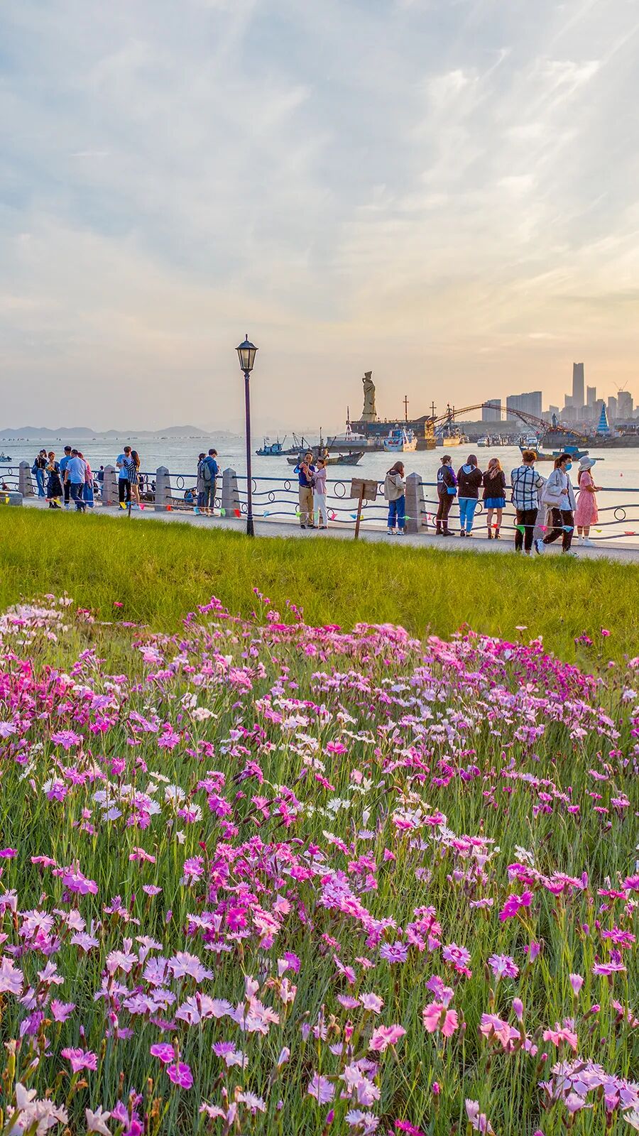 小麦岛公园--青岛新晋网红打卡地，关键还不收费！