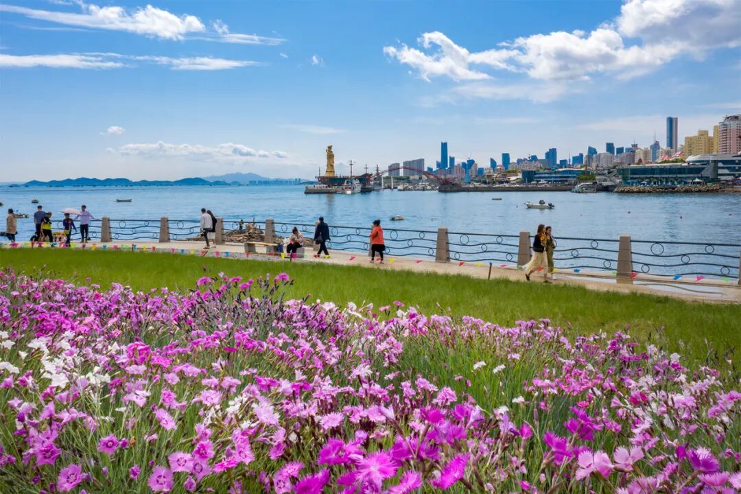 小麦岛公园--青岛新晋网红打卡地，关键还不收费！