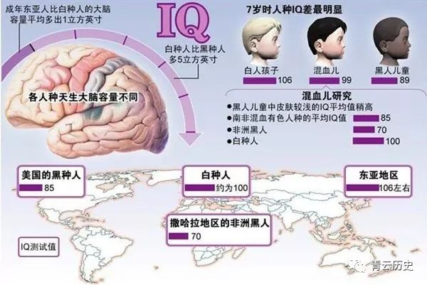 科学证明东亚 中日韩 人的智商全世界最高 青云历史 微信公众号文章阅读 Wemp