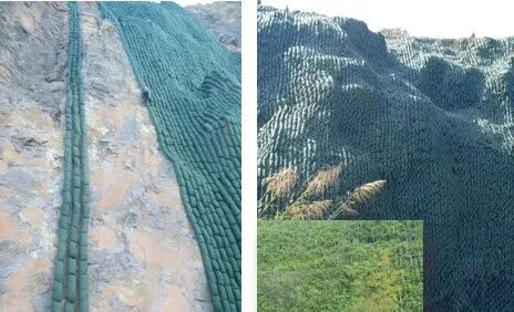 绿色矿山建设中生态修复技术集成的图13