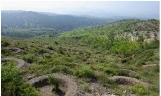 绿色矿山建设中生态修复技术集成的图10