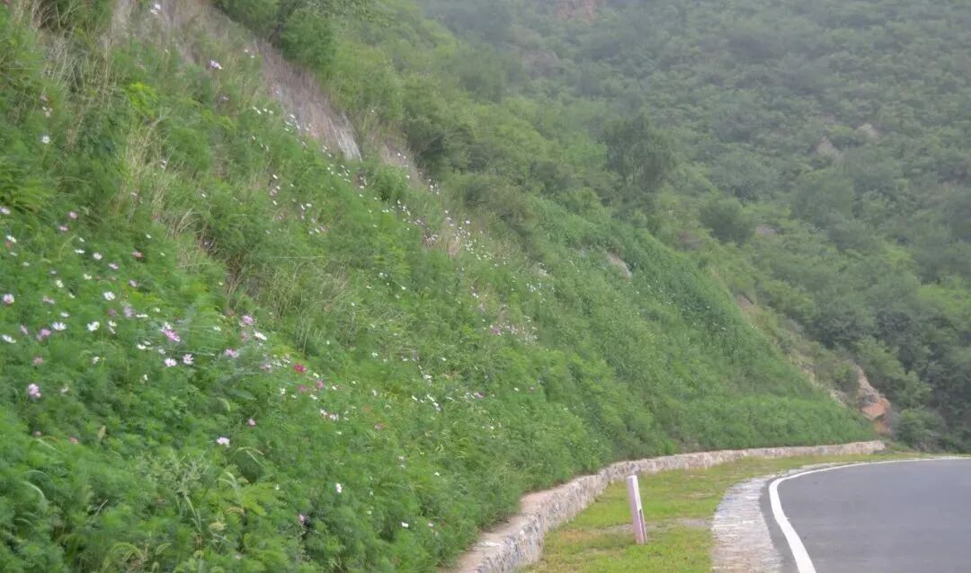 绿色矿山建设中生态修复技术集成的图3