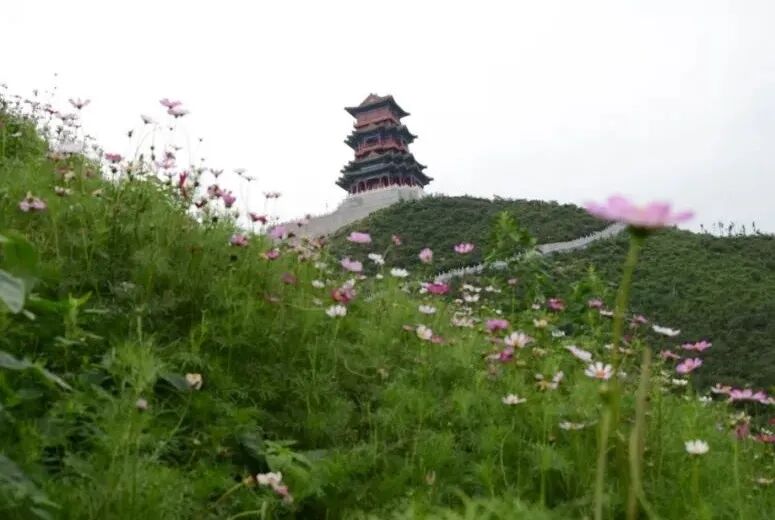 绿色矿山建设中生态修复技术集成的图1