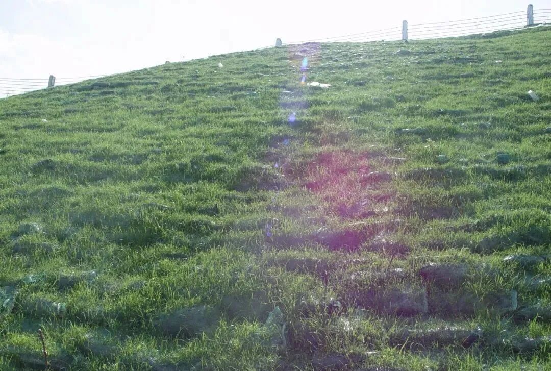 绿色矿山建设中生态修复技术集成的图2