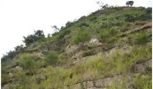 绿色矿山建设中生态修复技术集成的图11