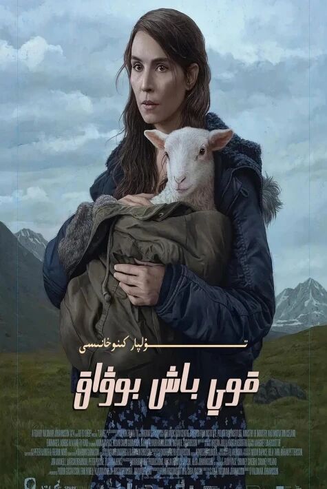 قوي باش بوۋاق ئۆز تىل ھەقسىز