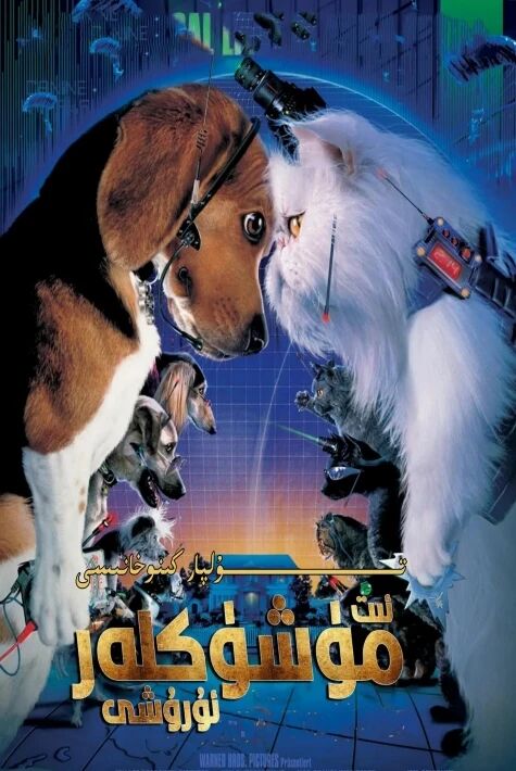 ئىت مۈشۈكلەر ئۇرىشى