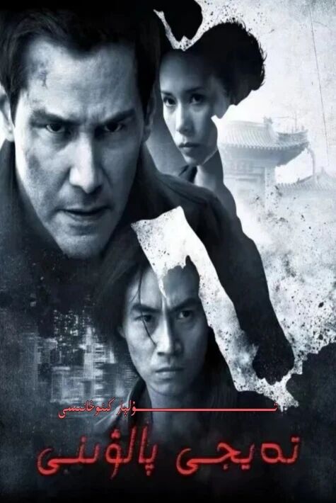 تەيجى پالۋىنى