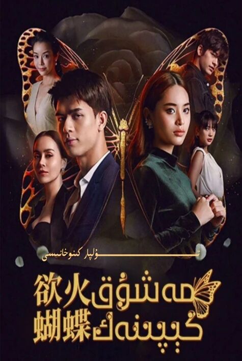 مەشۇق كىپىنەك