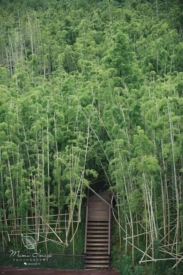 远上青山 归隐云间 探索莫干山野奢度假酒店 郡安里君澜 旅游户外 E滁州 s 0550 Com Powered By Discuz