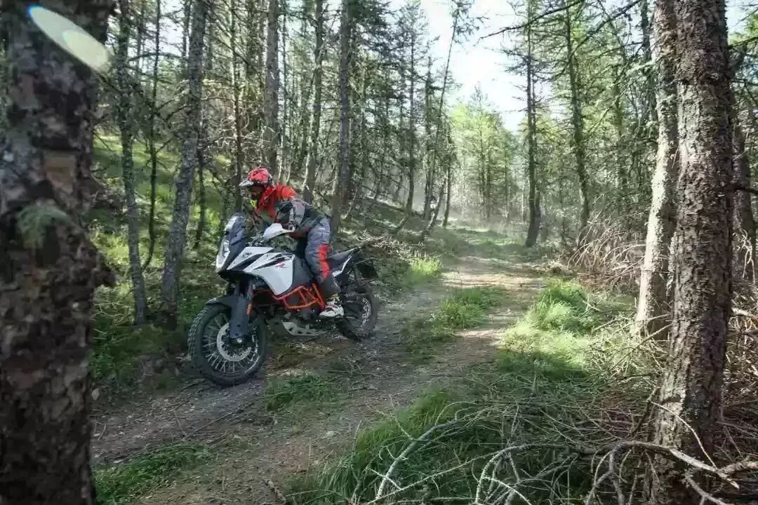 硬派拉力掌权派：KTM 1290 SADV R下