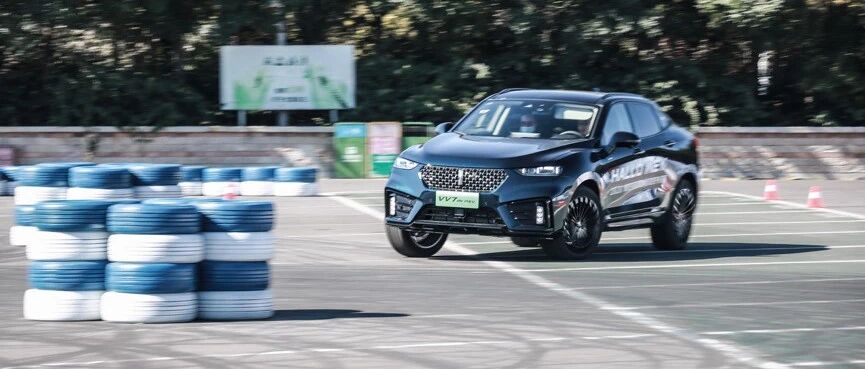 Hallo，WEY了37万份热爱