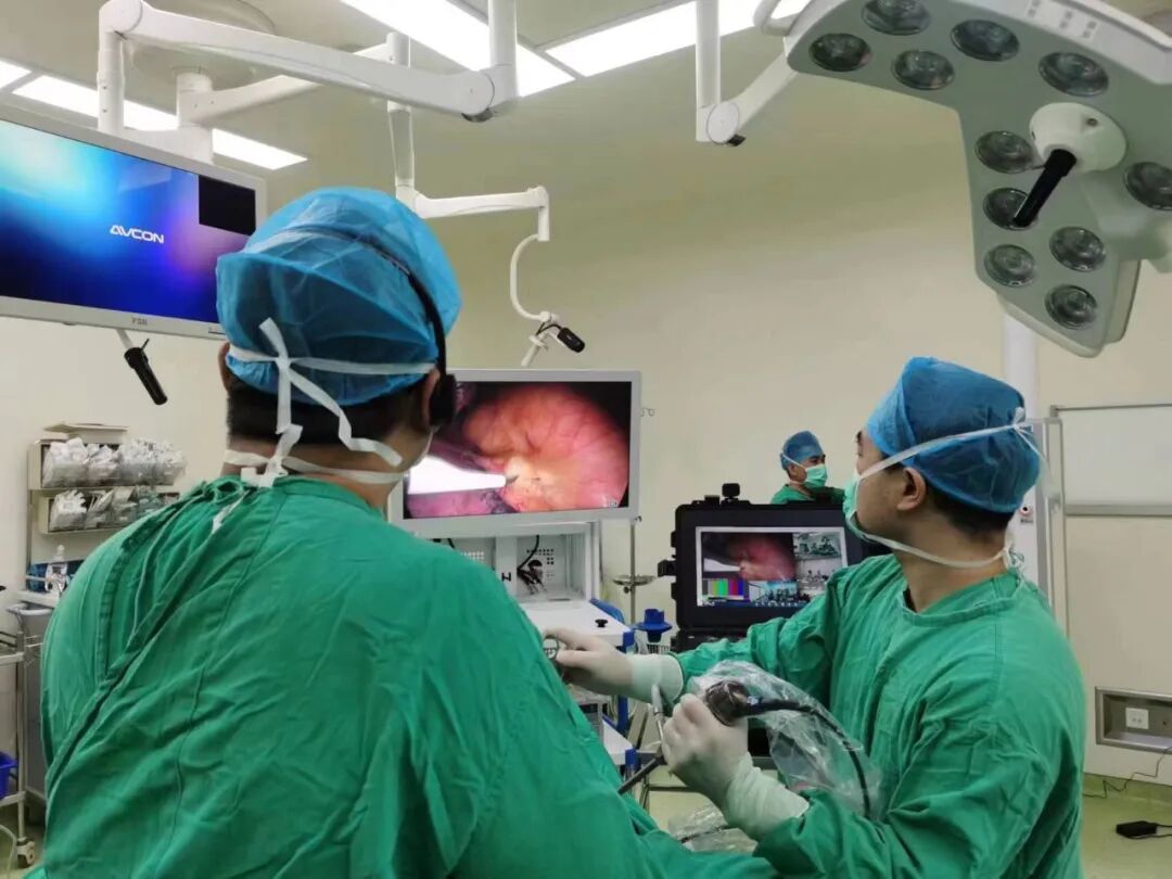 什么是数字肺线上直播肺亚段切除手术 多地数字化远程合作研讨_https://www.jmylbn.com_新闻资讯_第3张