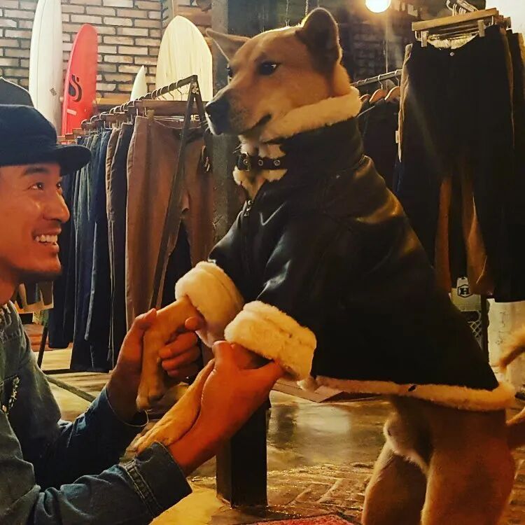当权志龙的家属是什么感觉？姐夫现身说法：别问，问就是头疼！（组图） - 20