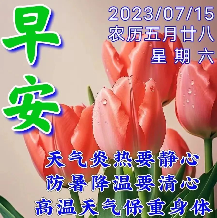 看淡成功的例子_看淡生活后成功的人_看淡成功与失败