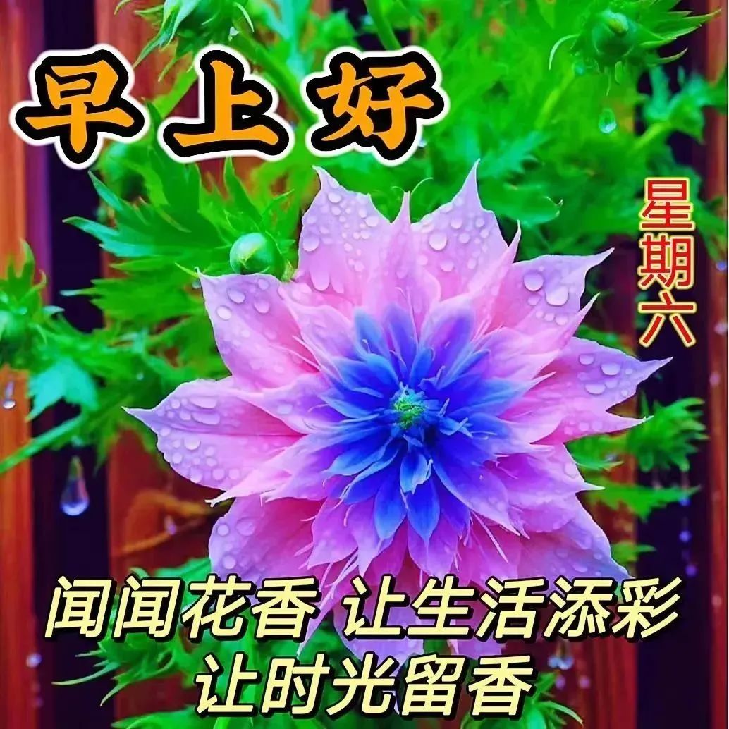 看淡成功与失败_看淡成功的例子_看淡生活后成功的人