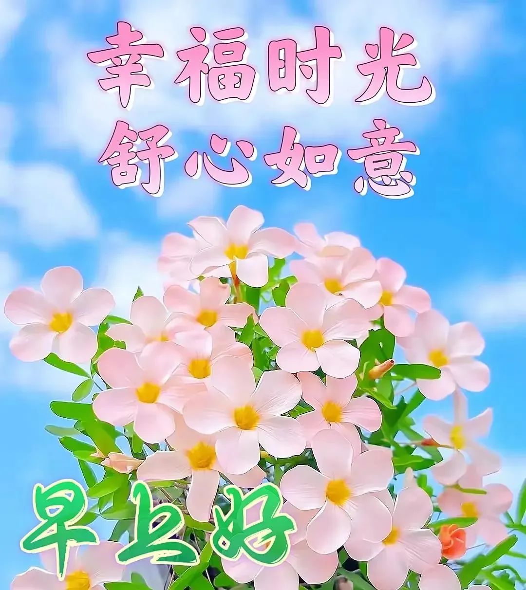 看淡成功的例子_看淡生活后成功的人_看淡成功与失败
