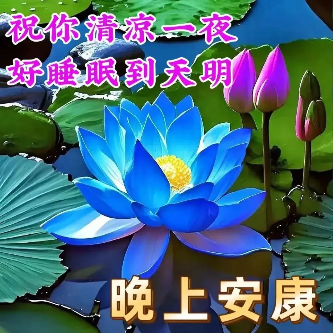 看淡生活后成功的人_看淡成功的例子_看淡成功与失败