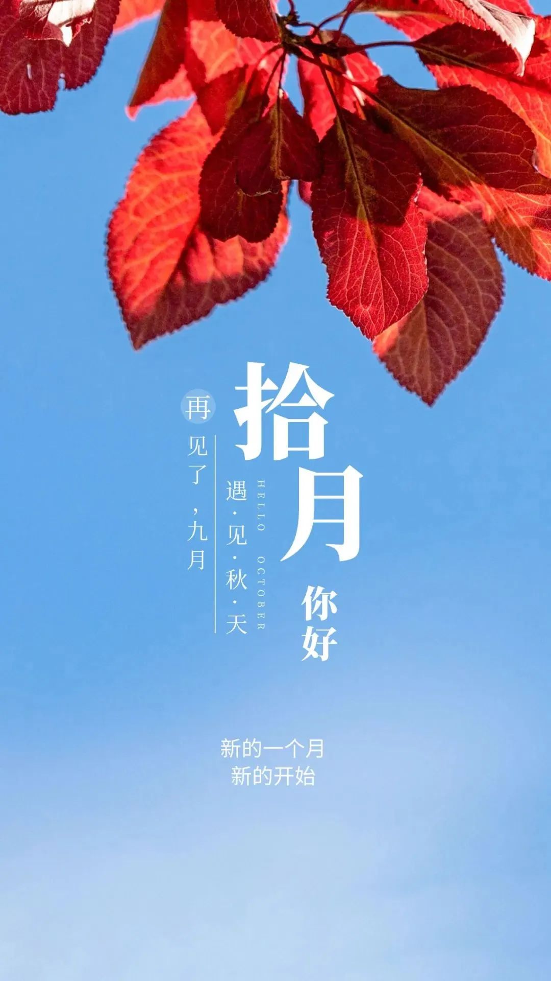 看淡人生才活的快乐是什么意思_生活里看淡才会快乐图片_看淡一切才会快乐