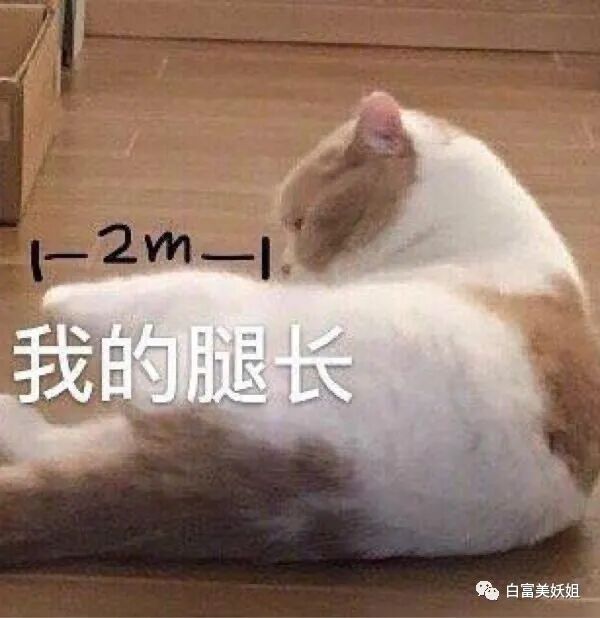 【美女】唯一高调炫富不被骂的富二代，网友对她咋这么好？（组图） - 50
