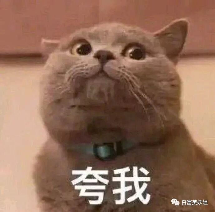 王思聪撩不到的学霸白富美，爱上换头照骗男频繁翻车…（组图） - 27