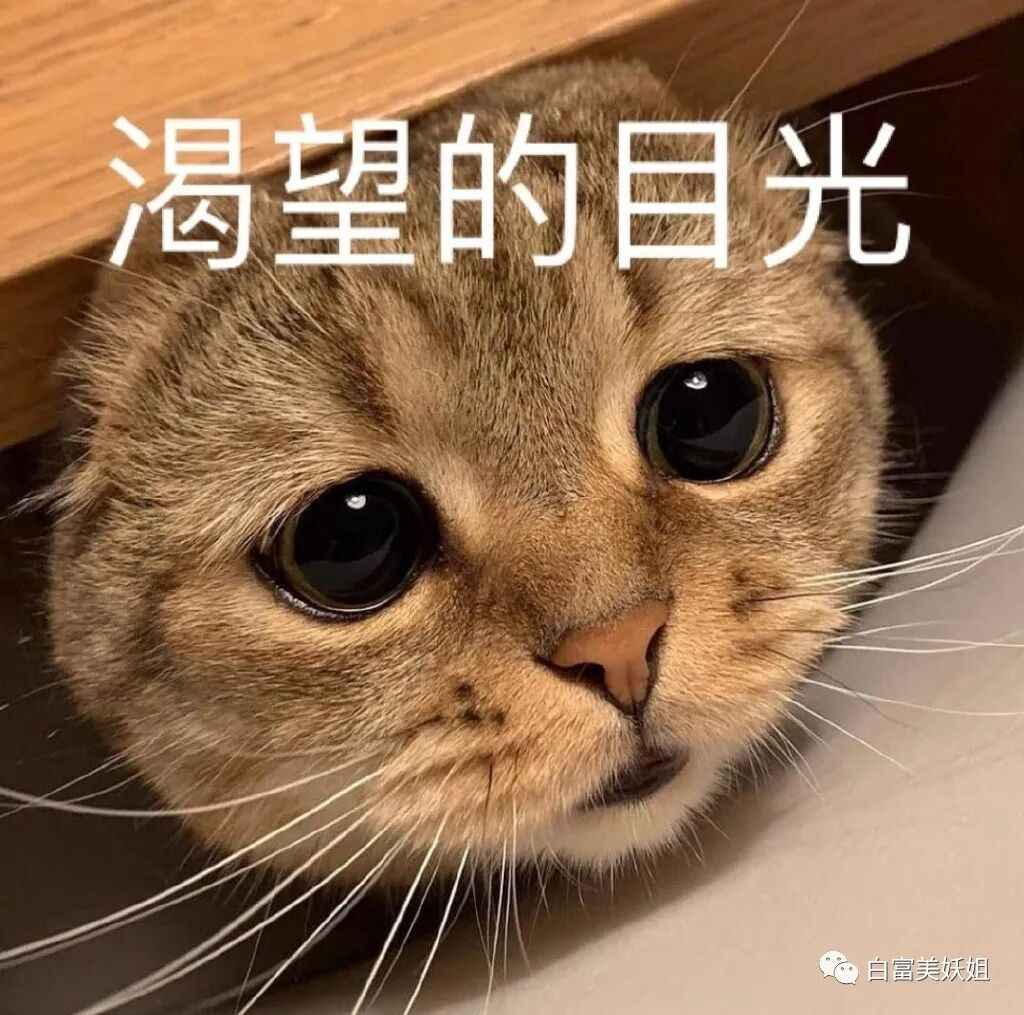 【美女】唯一高调炫富不被骂的富二代，网友对她咋这么好？（组图） - 1
