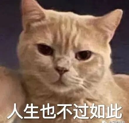 【网红】同济校花被打假？她靠江浙顶富高调求婚，赢麻了…（组图） - 1