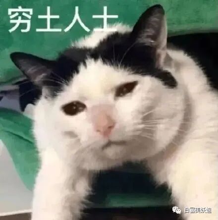 【网红】同济校花被打假？她靠江浙顶富高调求婚，赢麻了…（组图） - 9