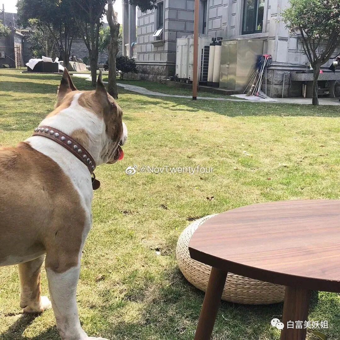 16岁收500w礼物，上海超级富二代名不虚传…（组图） - 31