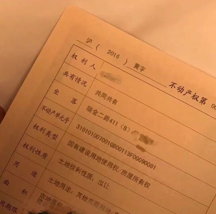 16岁收500w礼物，上海超级富二代名不虚传…（组图） - 34