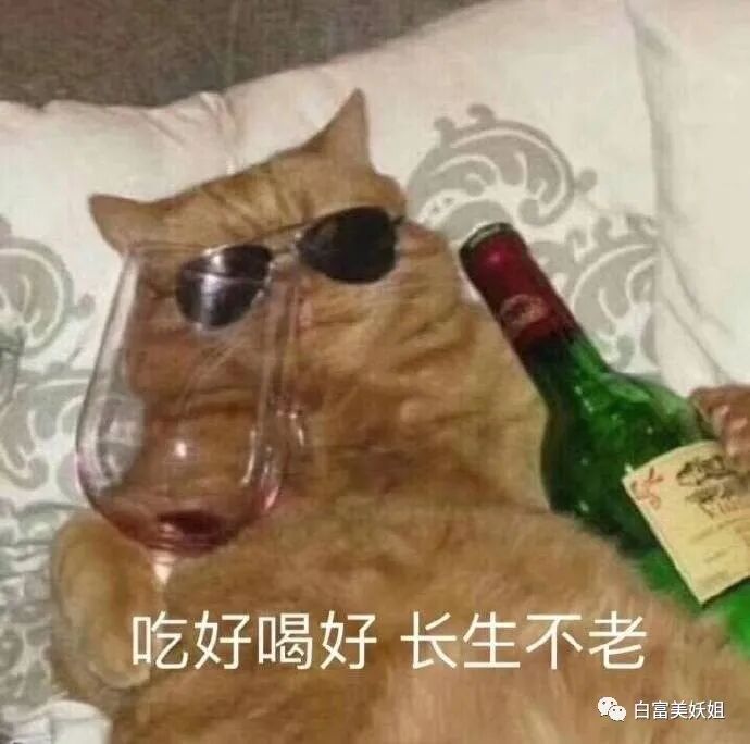 身价40亿顶级名媛，71岁狂泡20岁鲜肉，跪了！（组图） - 8