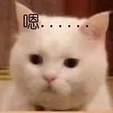 身价40亿顶级名媛，71岁狂泡20岁鲜肉，跪了！（组图） - 54
